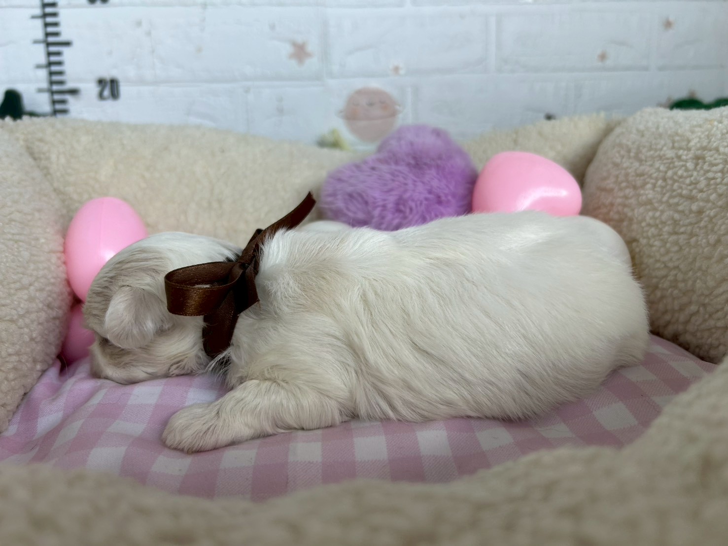赤ちゃん写真2-2