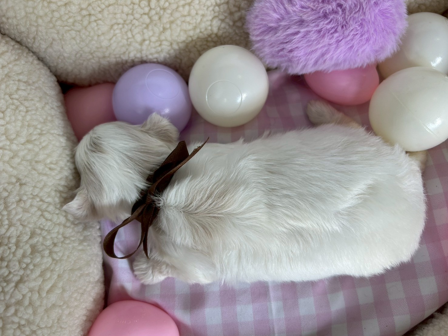 赤ちゃん写真2-3