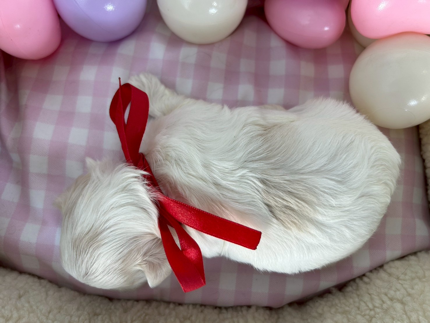 赤ちゃん写真2-3
