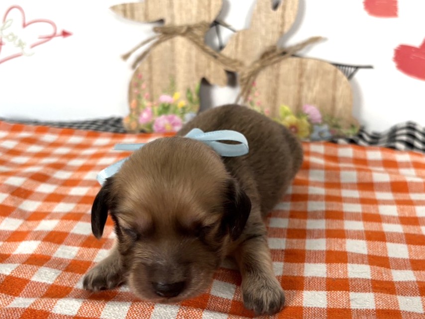 赤ちゃん写真1-1