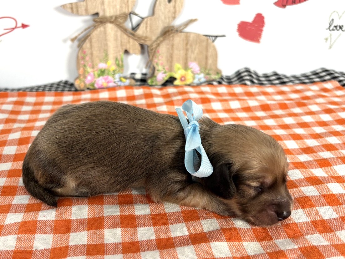 赤ちゃん写真1-2