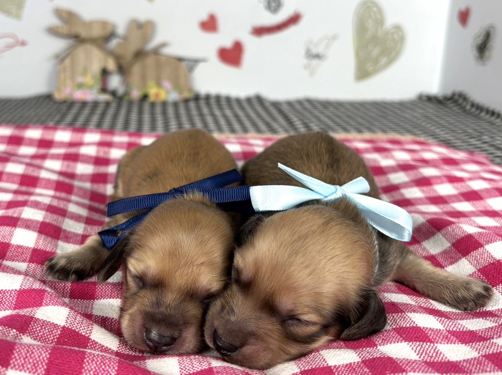 赤ちゃん写真1-3