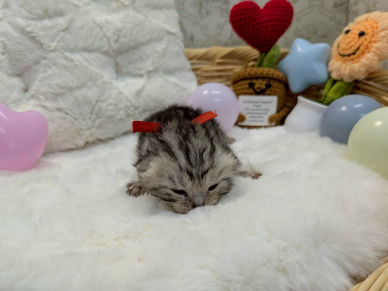 赤ちゃん写真1-1