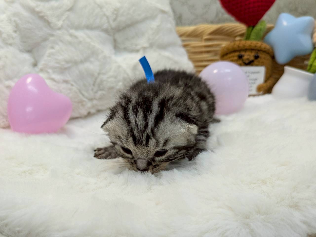 赤ちゃん写真1-1