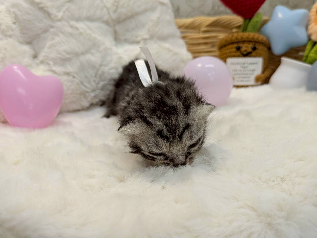 赤ちゃん写真1-1
