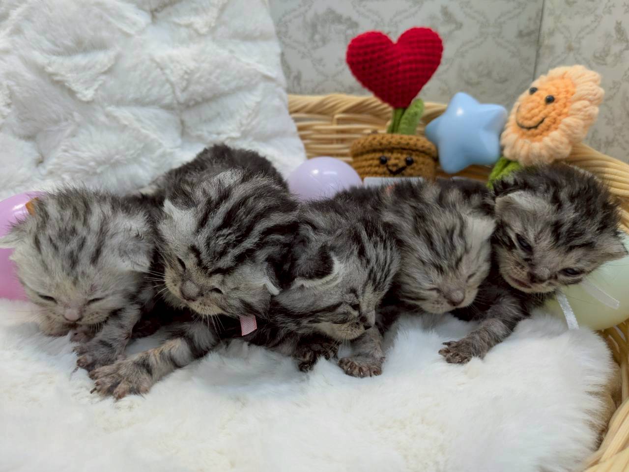 赤ちゃん写真1-3
