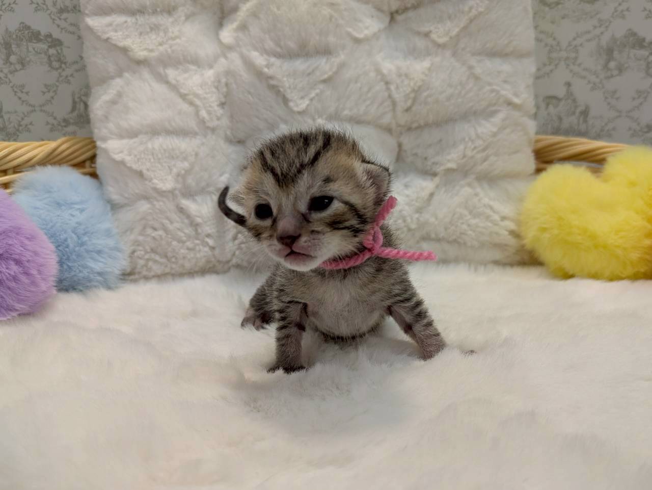 赤ちゃん写真1-1