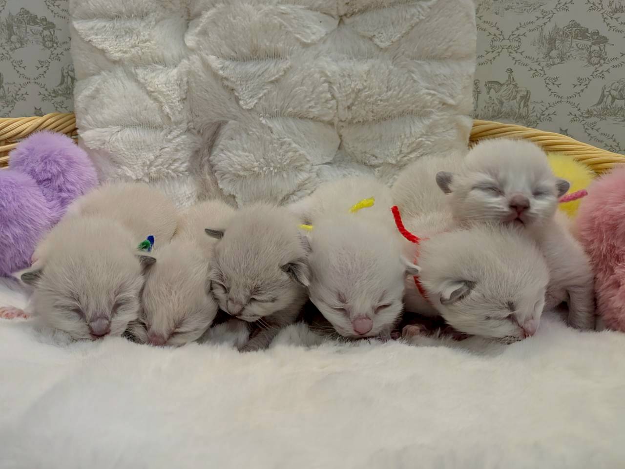 赤ちゃん写真1-3