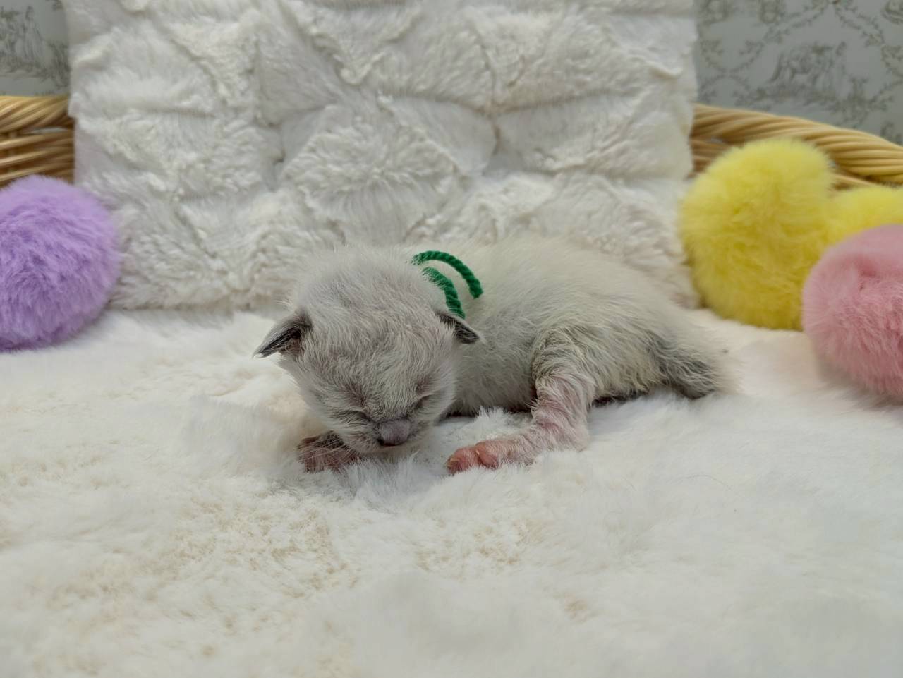 赤ちゃん写真1-2