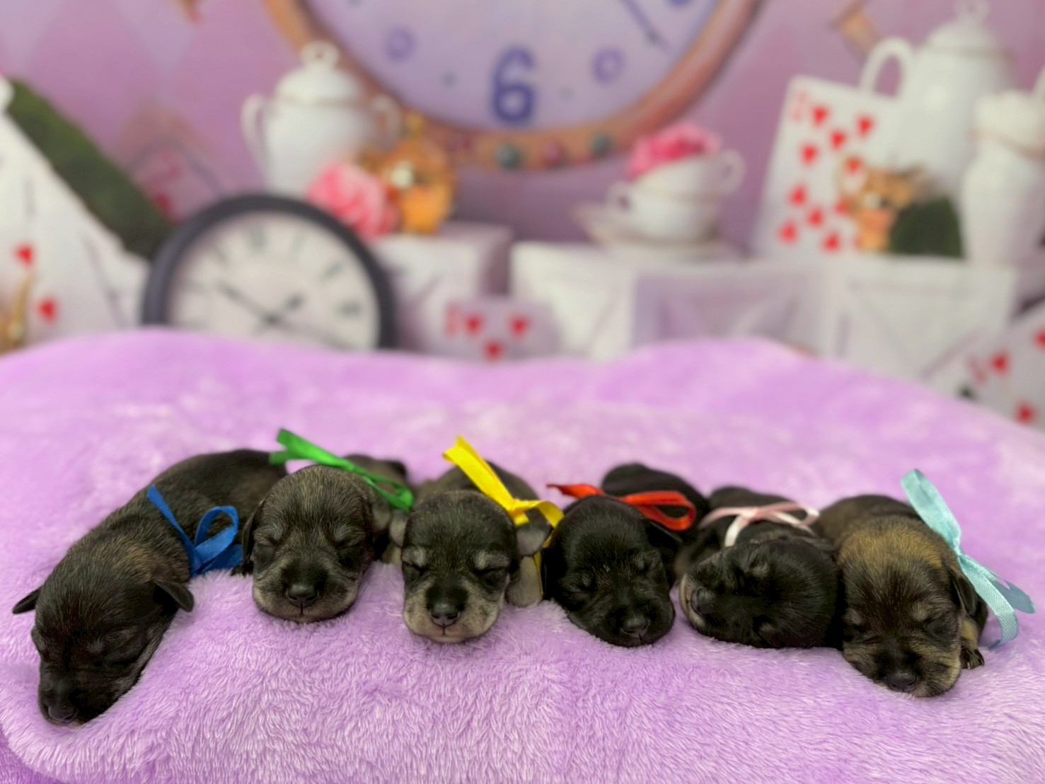 赤ちゃん写真1-3