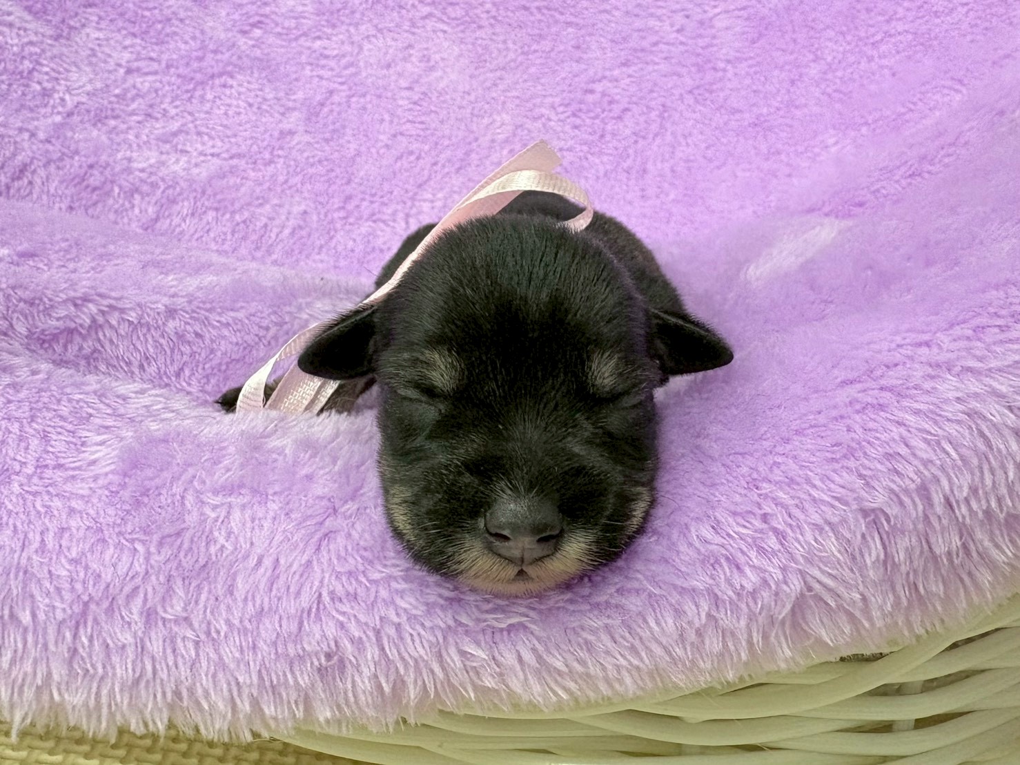 赤ちゃん写真1-1