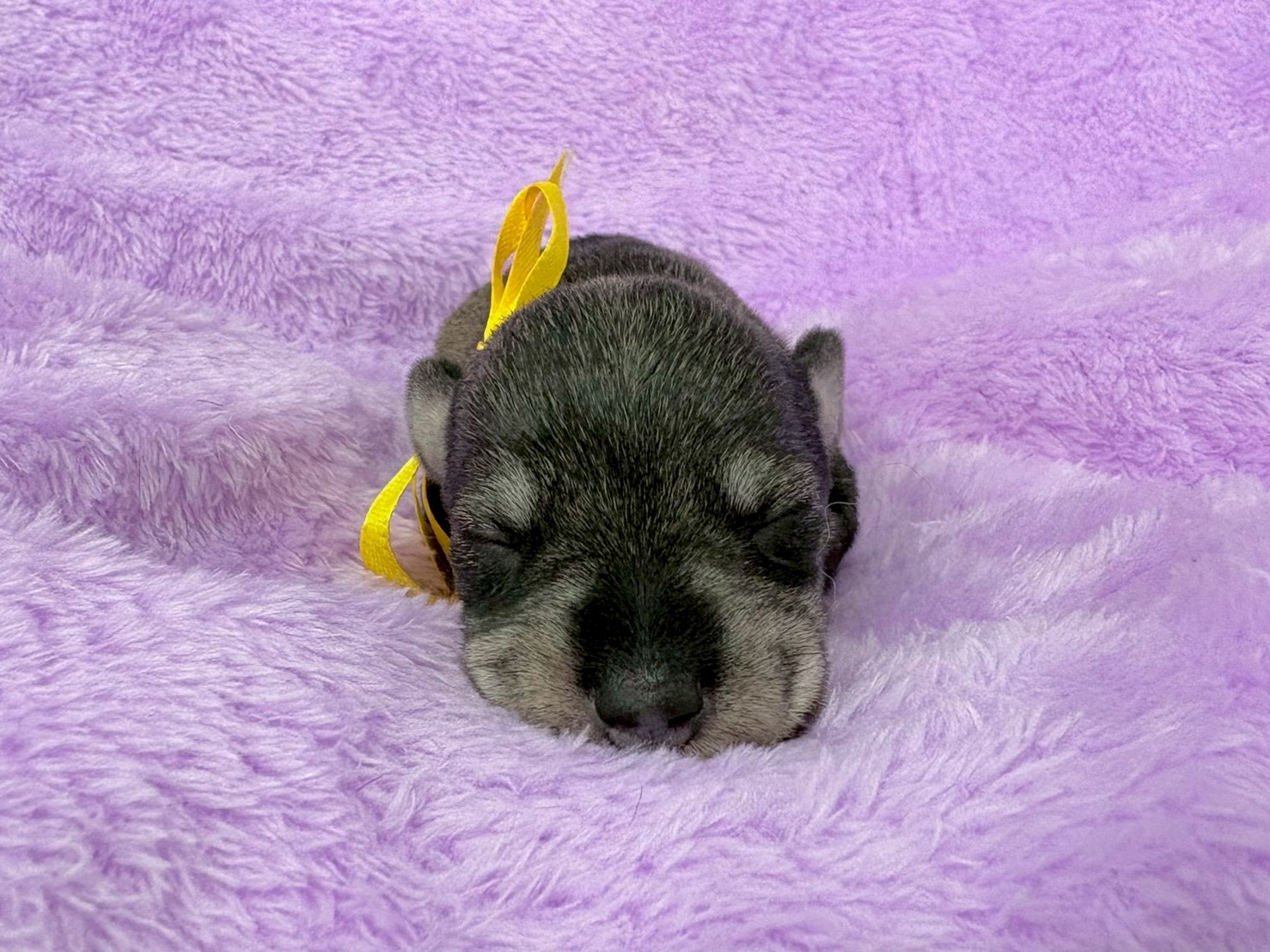 赤ちゃん写真1-1