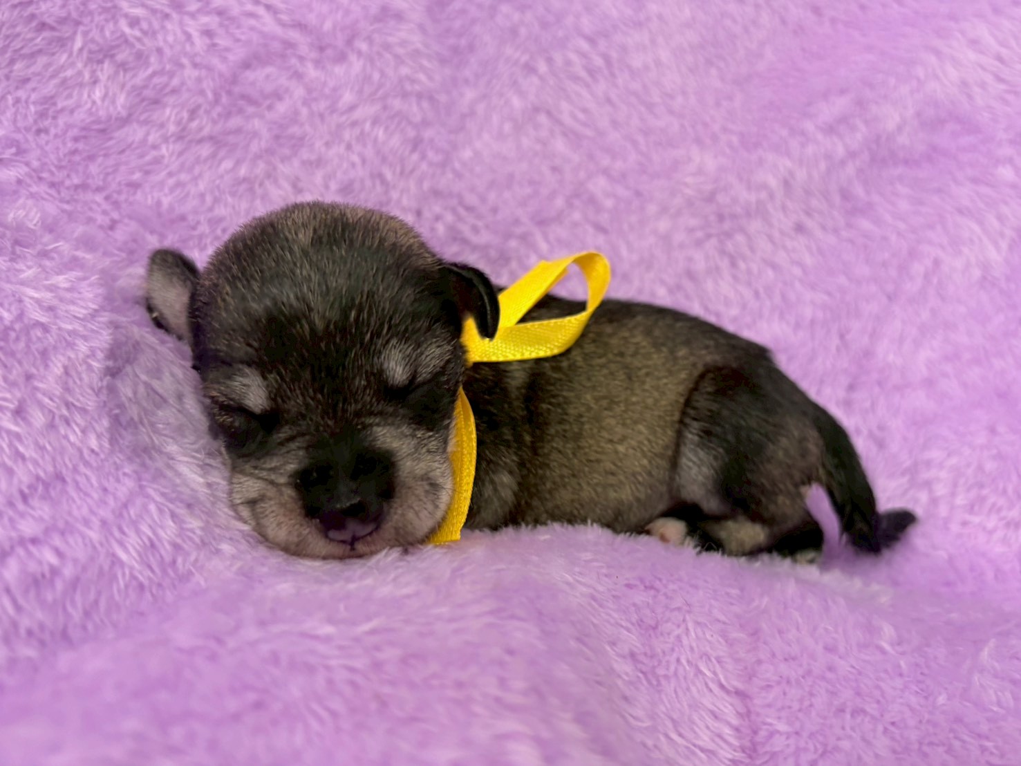 赤ちゃん写真1-2