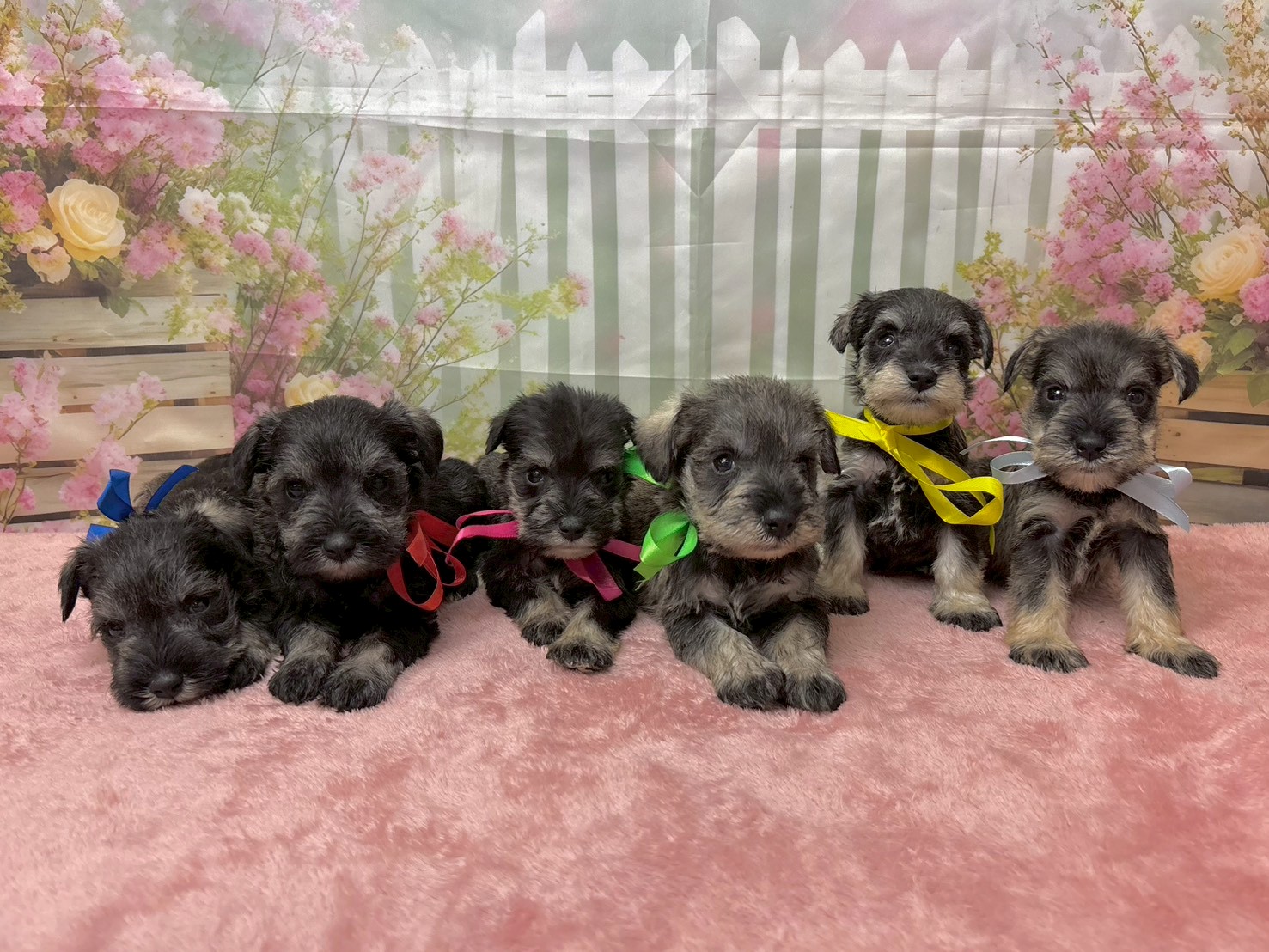 赤ちゃん写真2-3