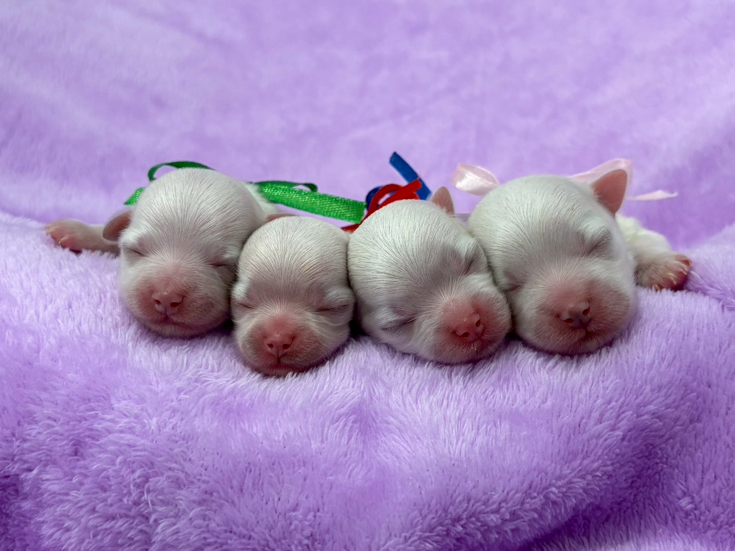 赤ちゃん写真1-3