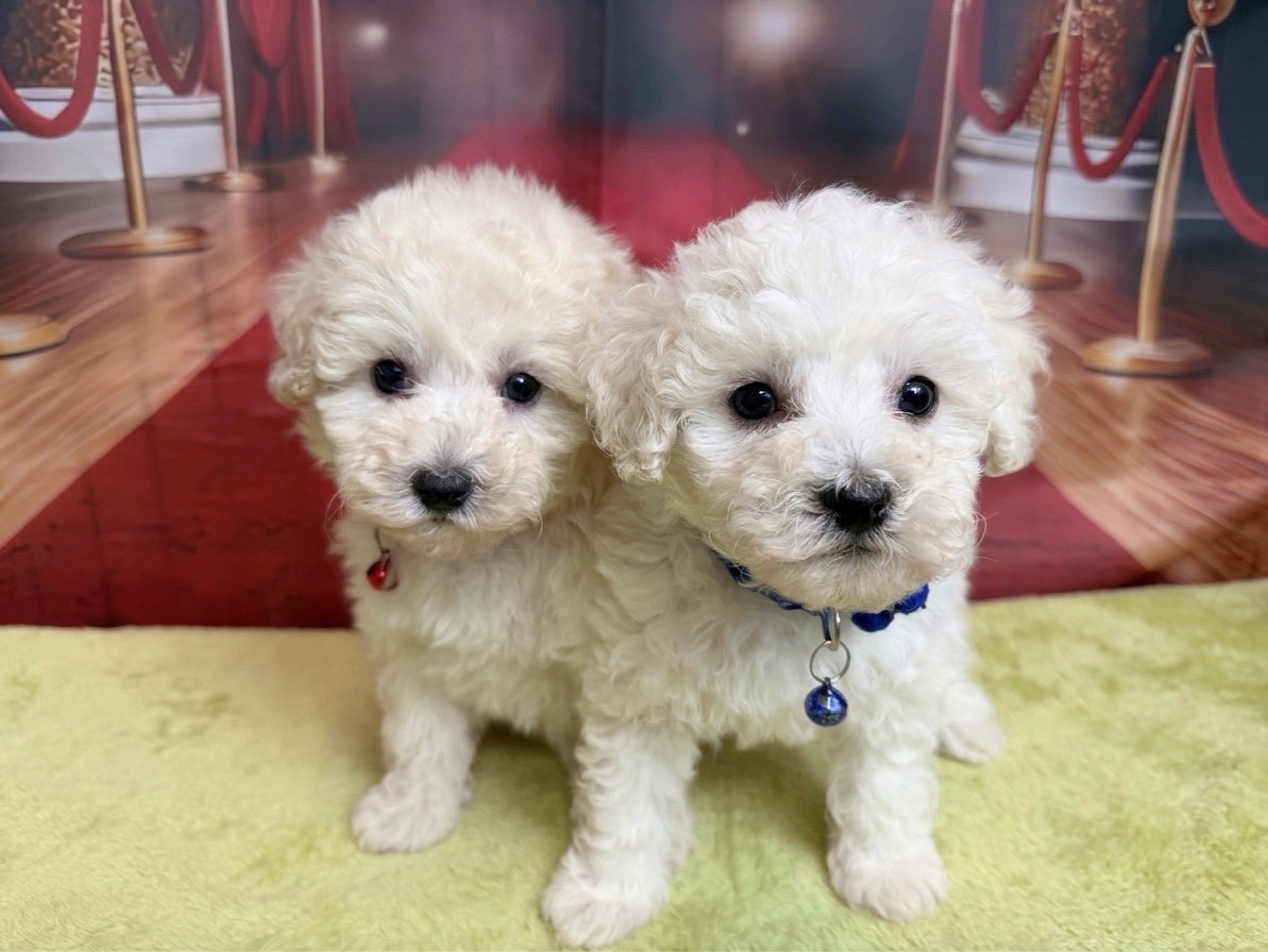 赤ちゃん写真3-3