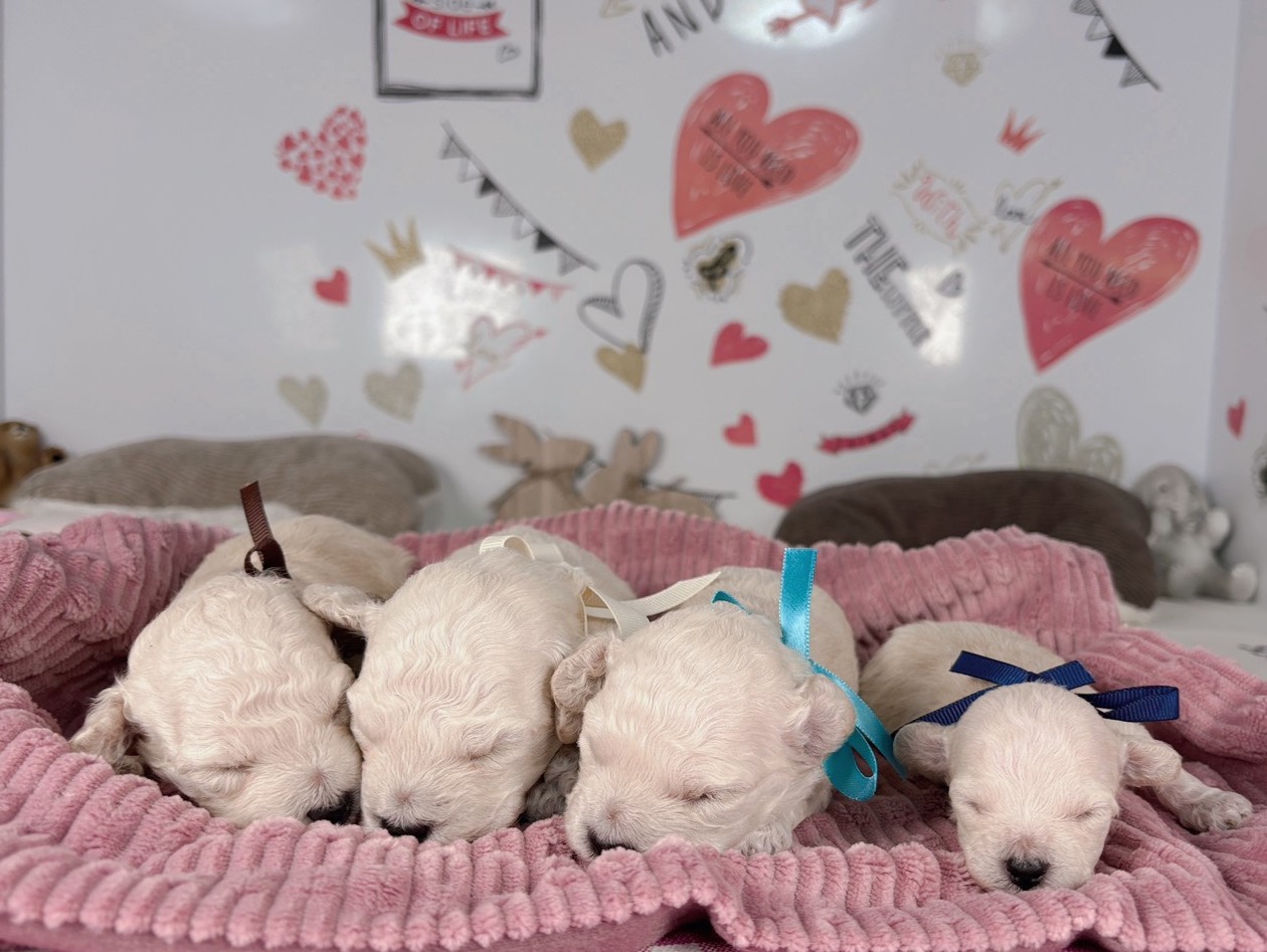 赤ちゃん写真1-3