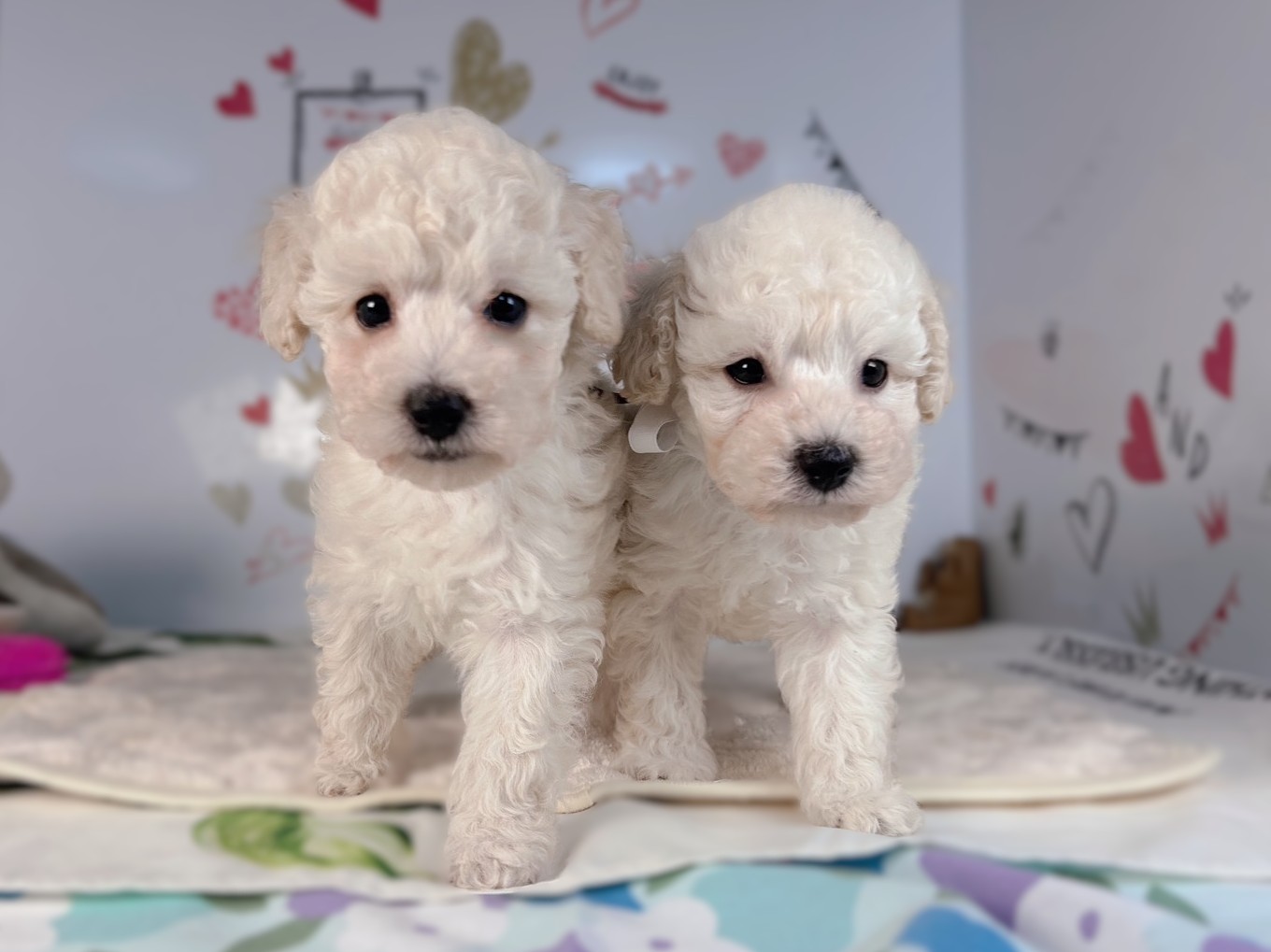 赤ちゃん写真2-3