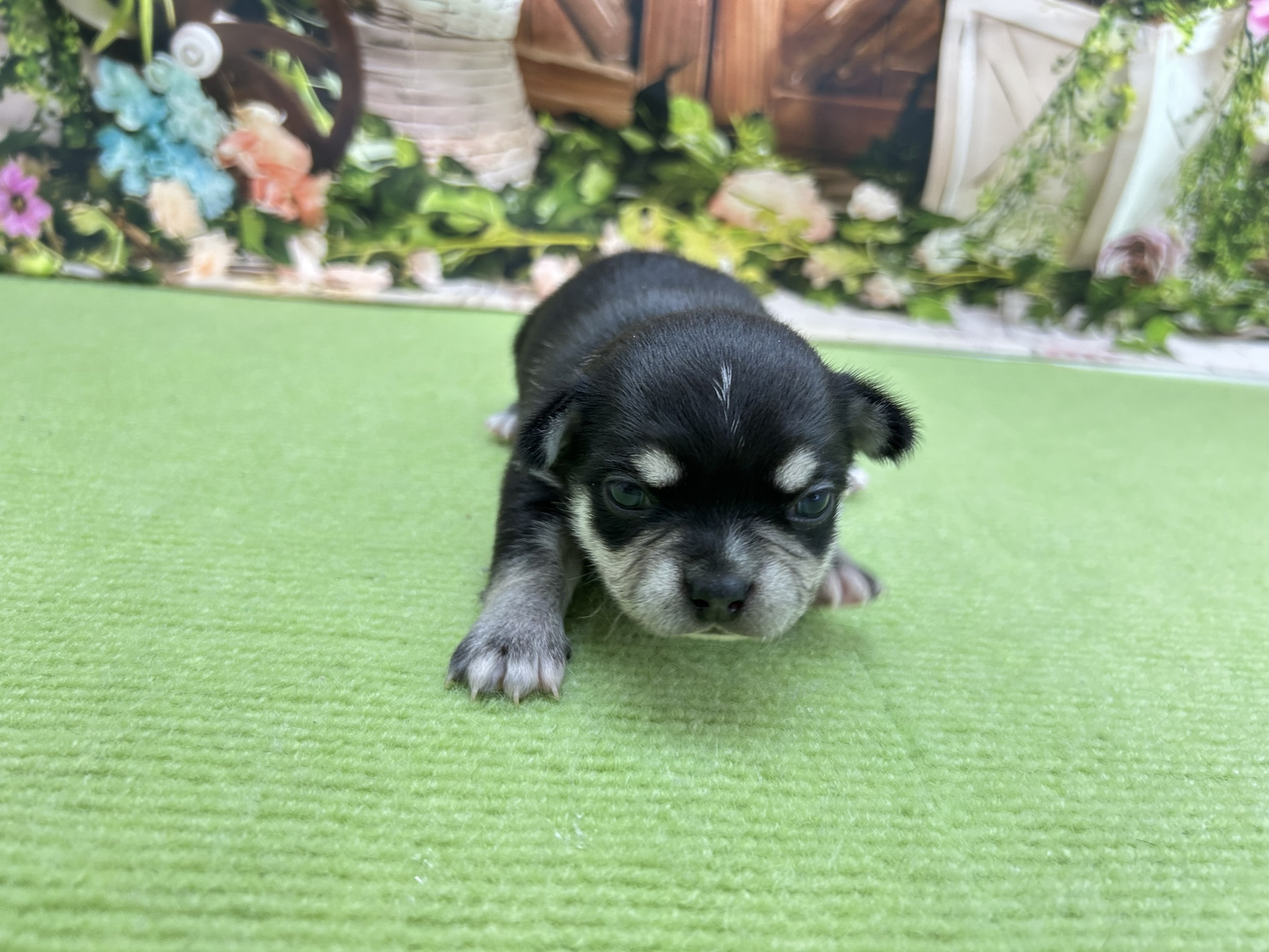 赤ちゃん写真1-1
