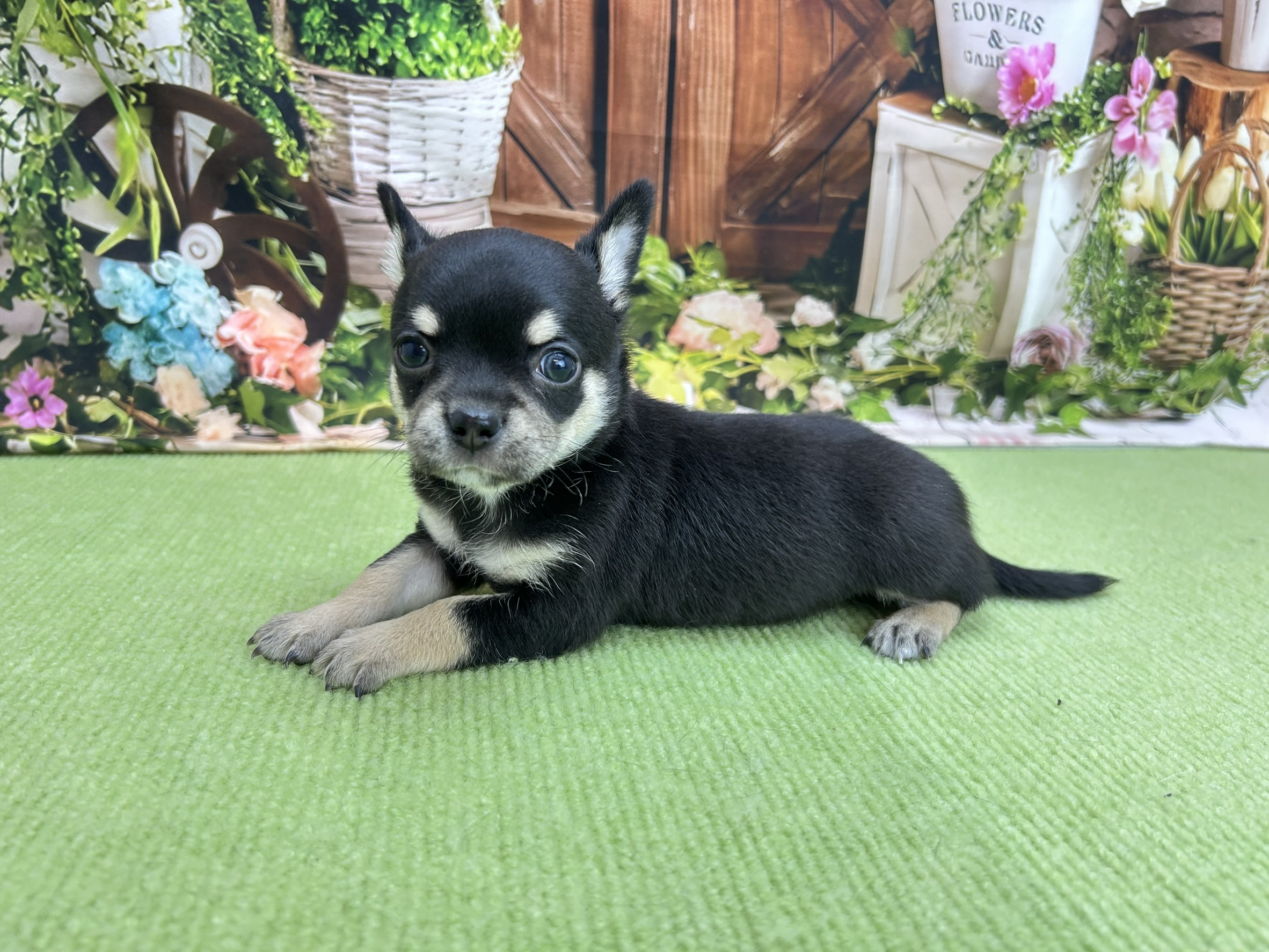 赤ちゃん写真2-2