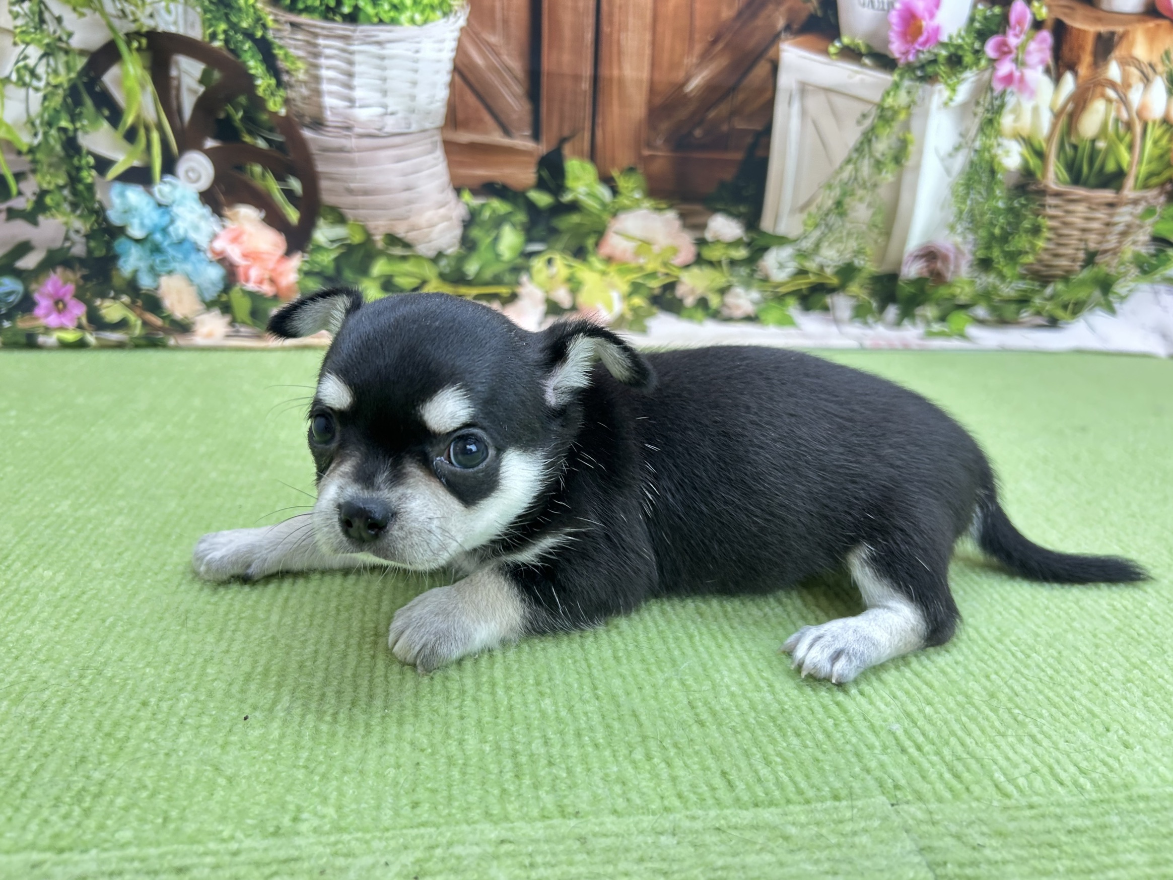 赤ちゃん写真2-2