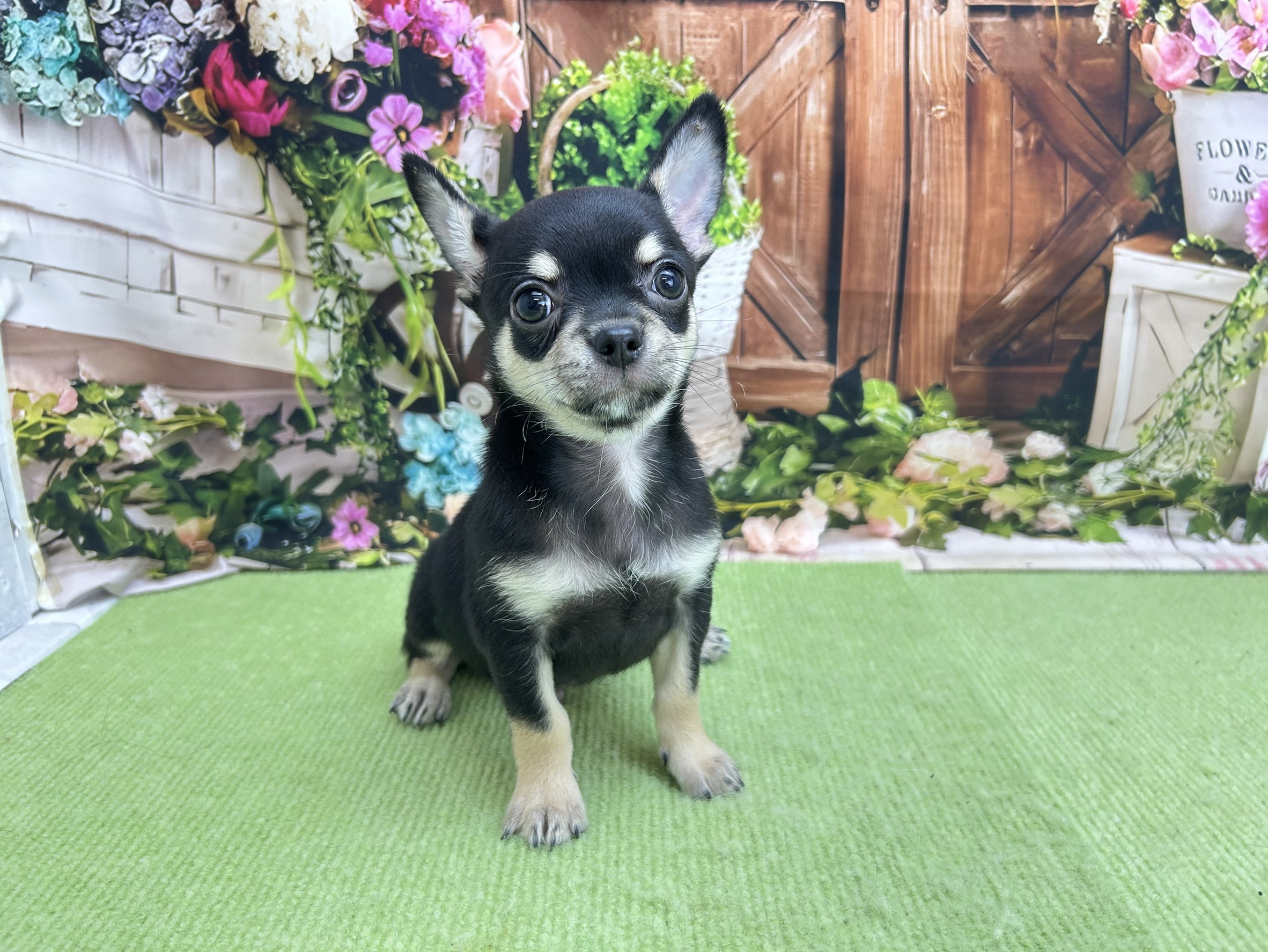 赤ちゃん写真3-1