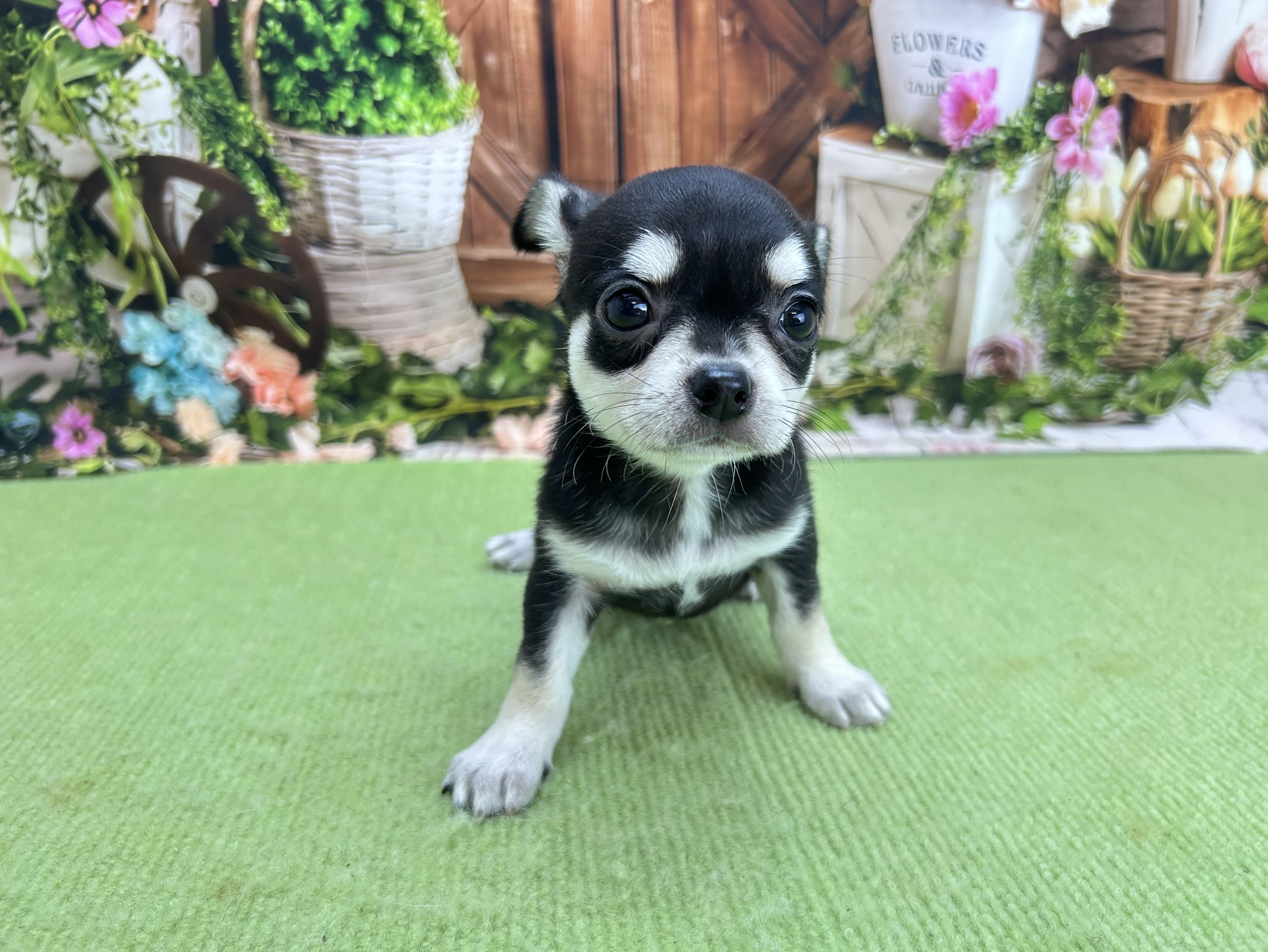 赤ちゃん写真3-1