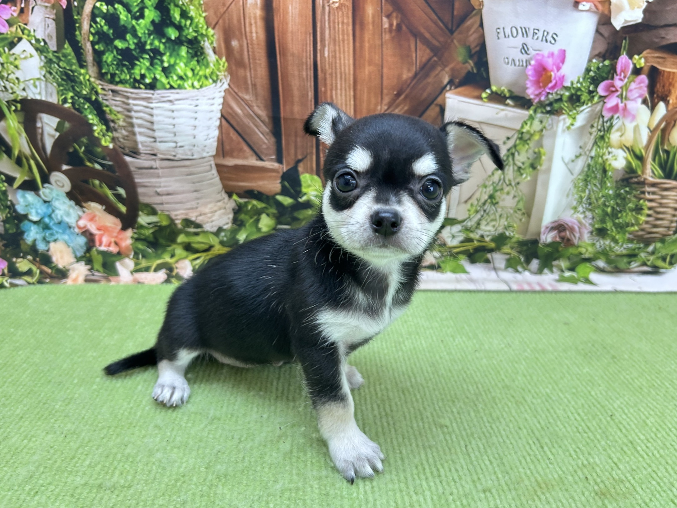 赤ちゃん写真3-2