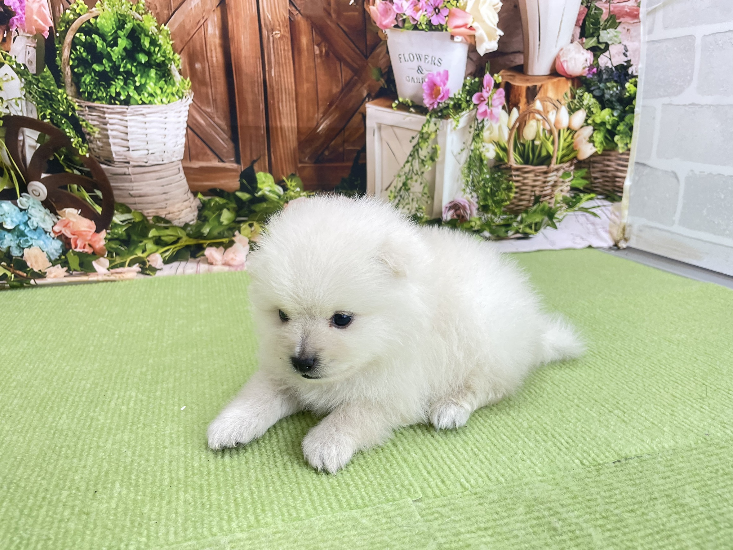 赤ちゃん写真2-2
