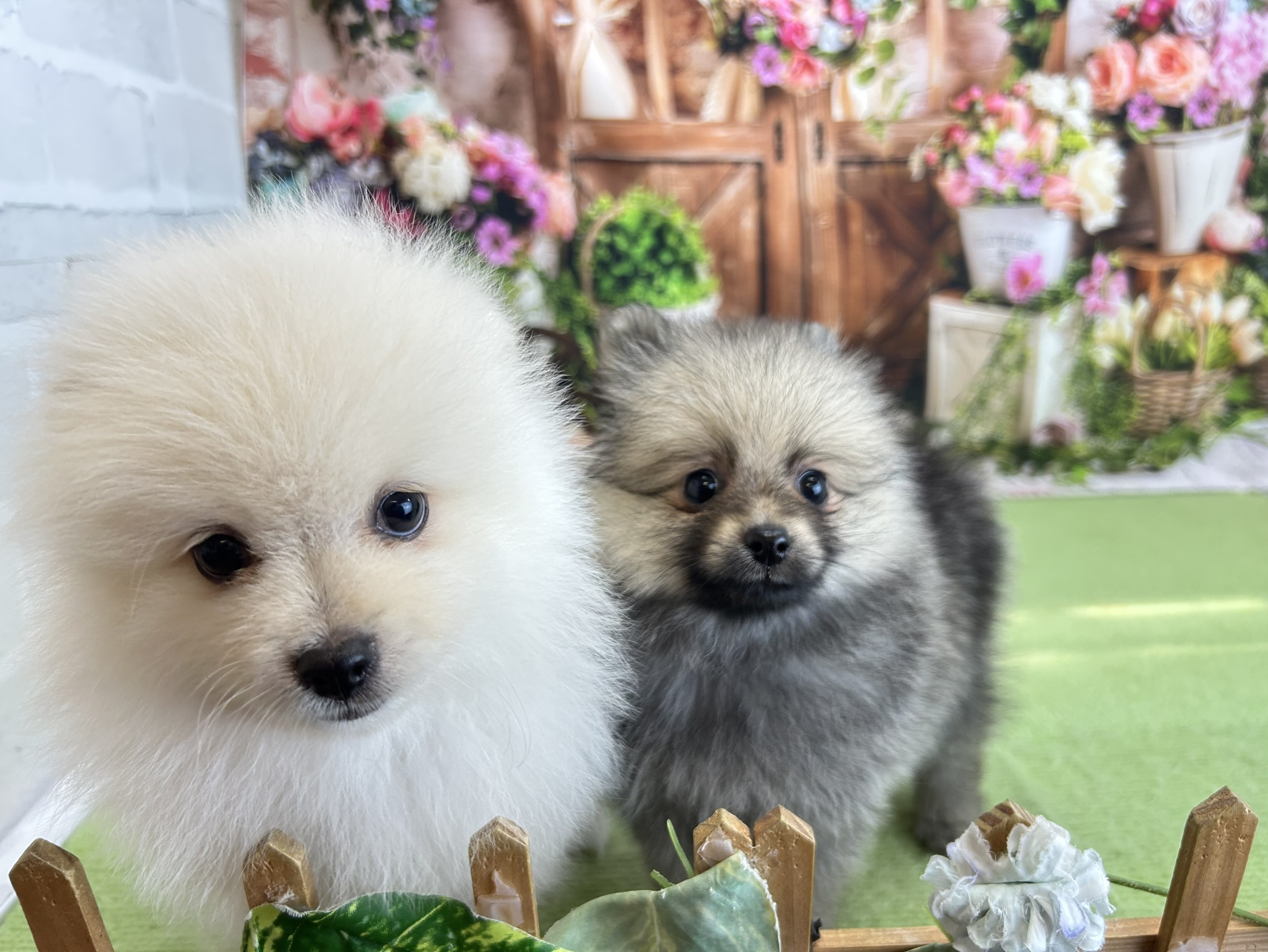 赤ちゃん写真3-3