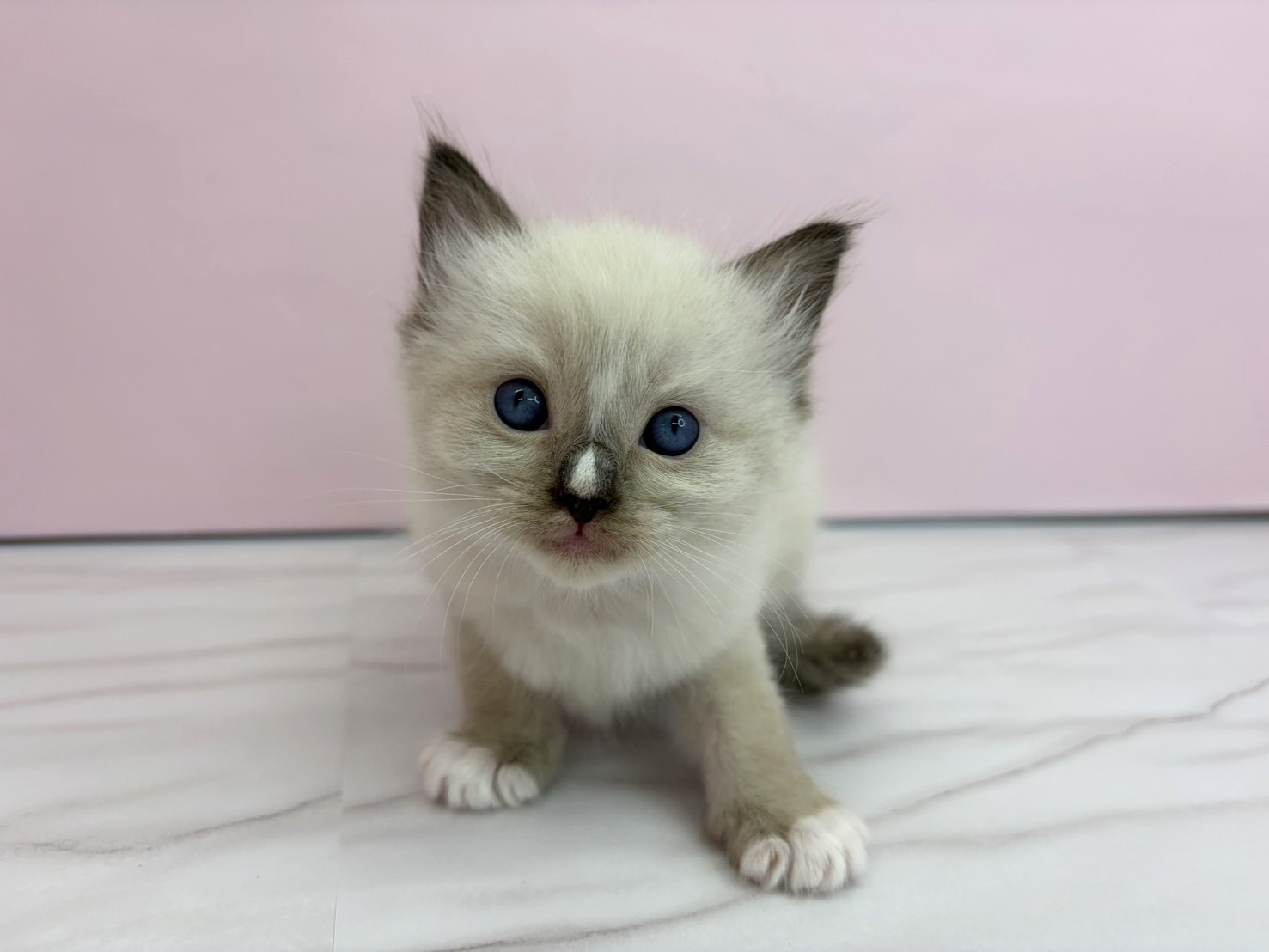 赤ちゃん写真2-1