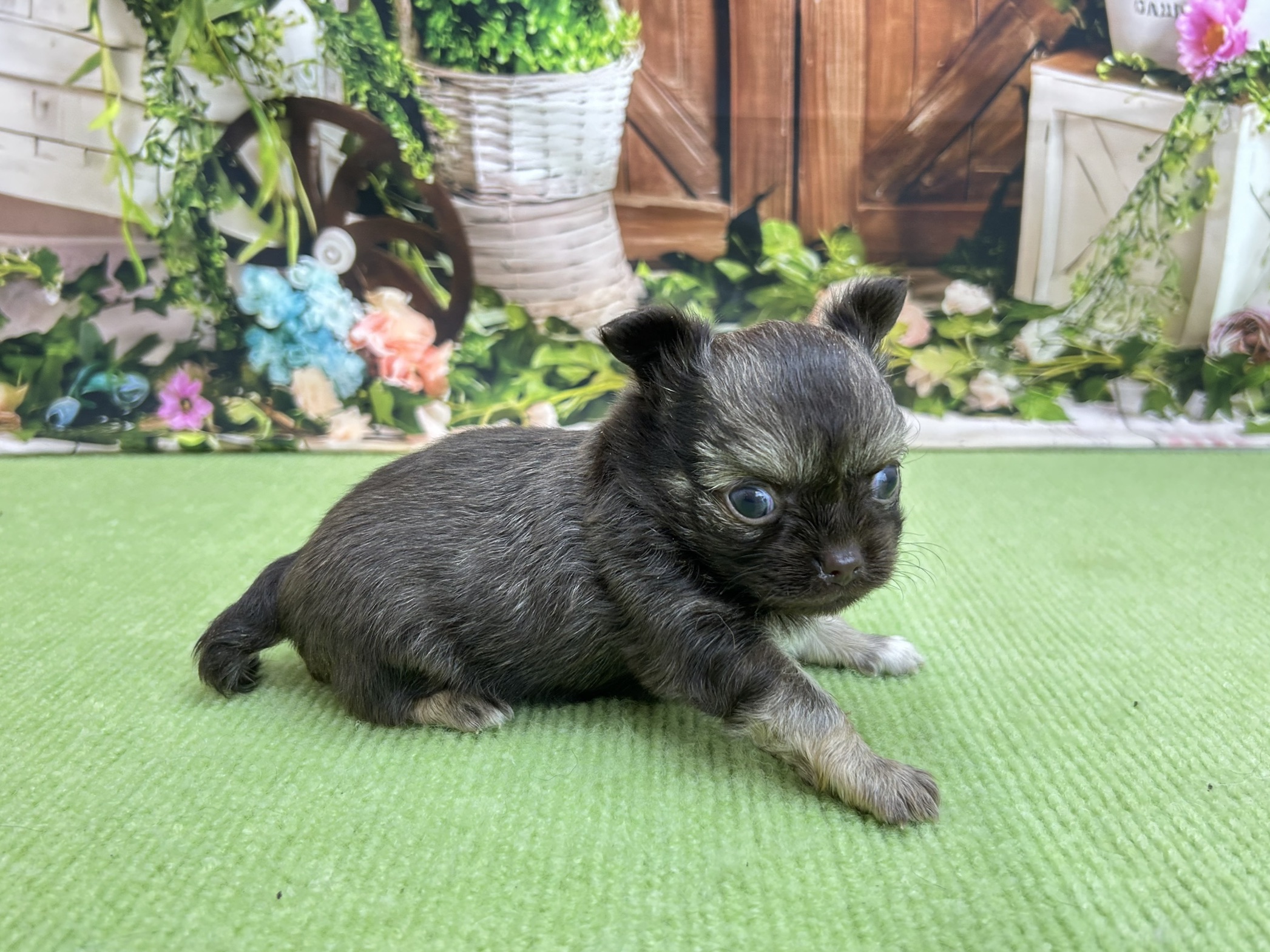 赤ちゃん写真2-3