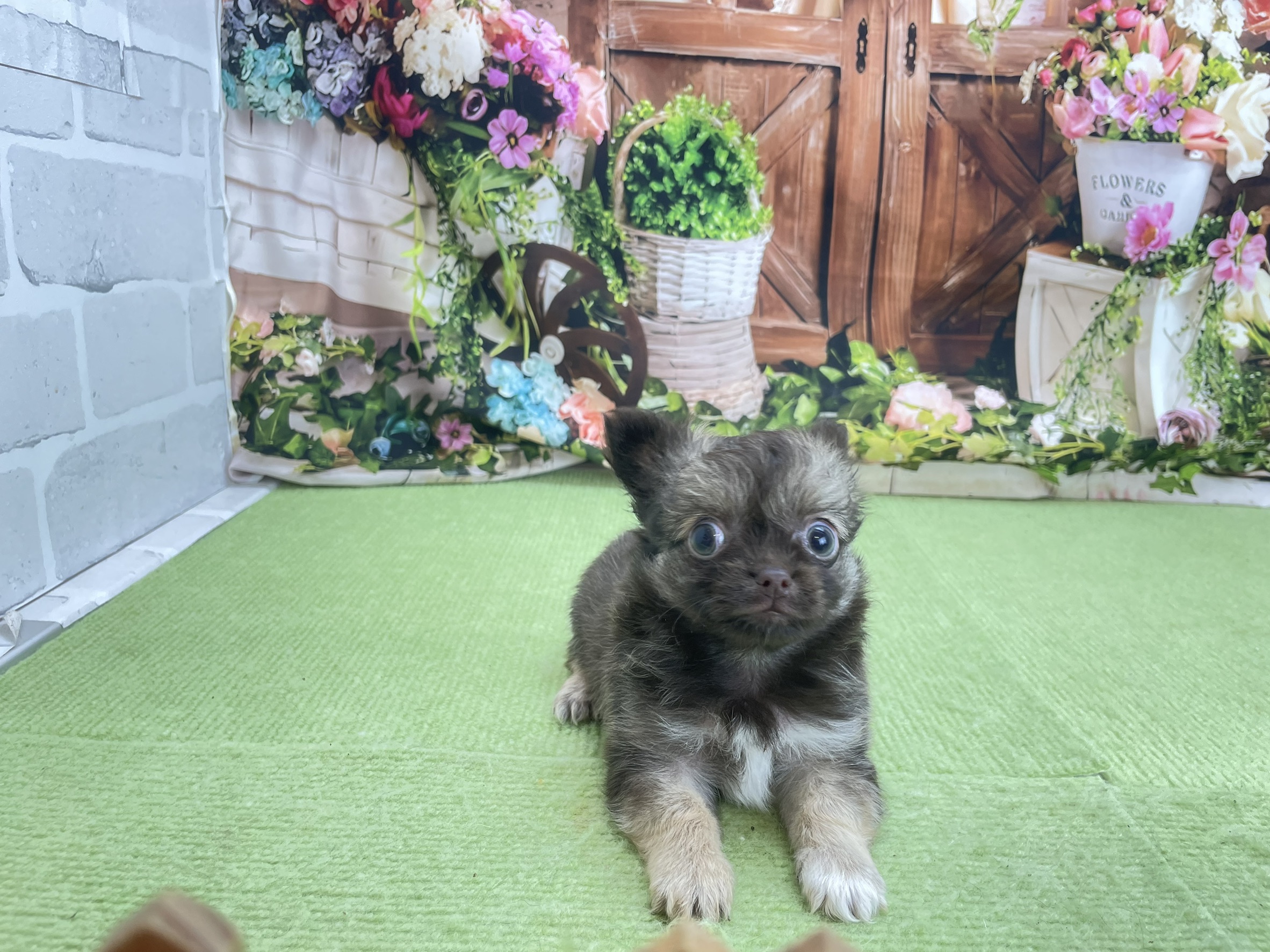 赤ちゃん写真3-1