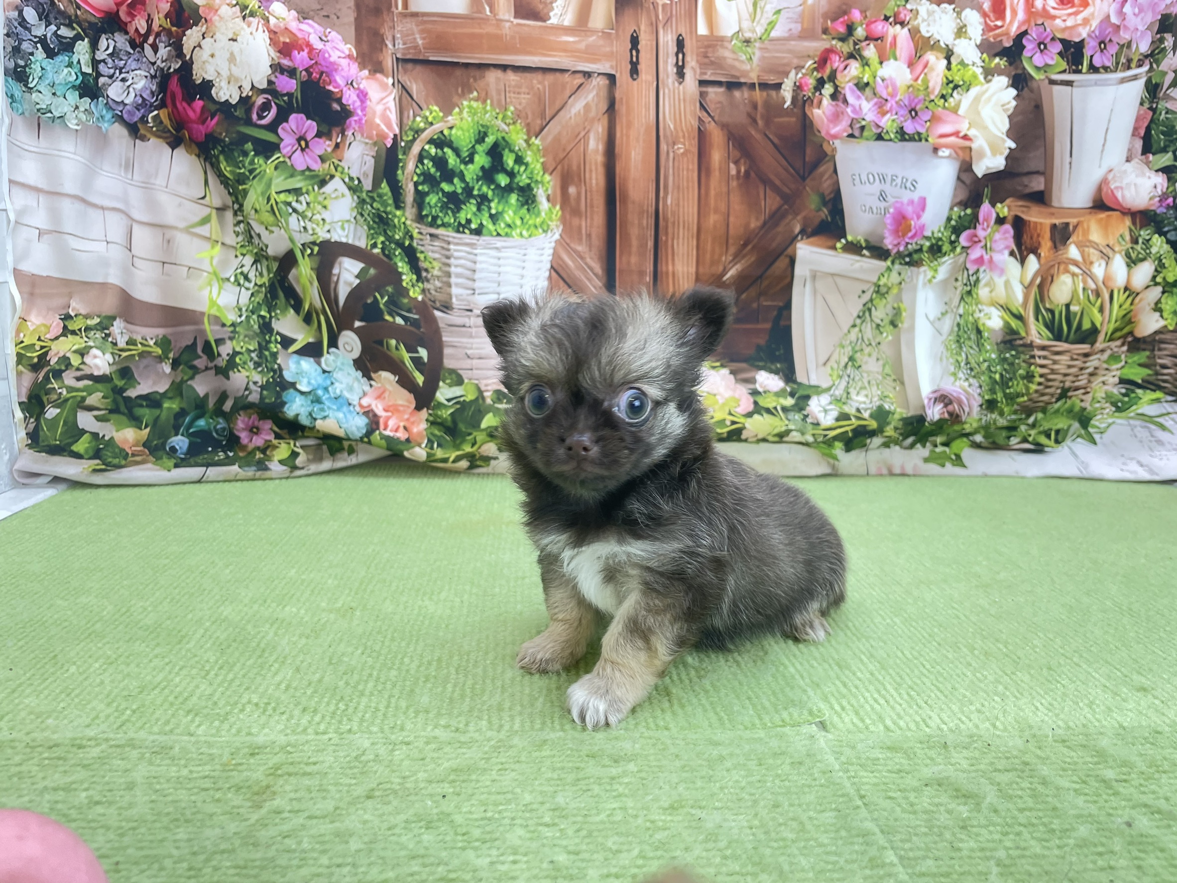 赤ちゃん写真3-2