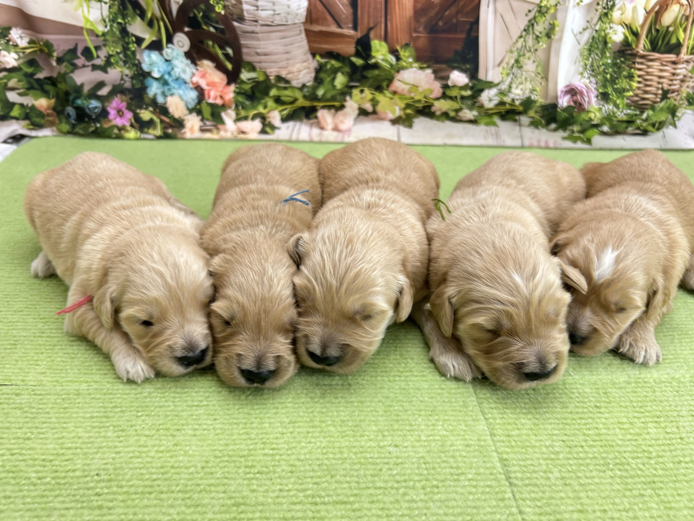 赤ちゃん写真1-3