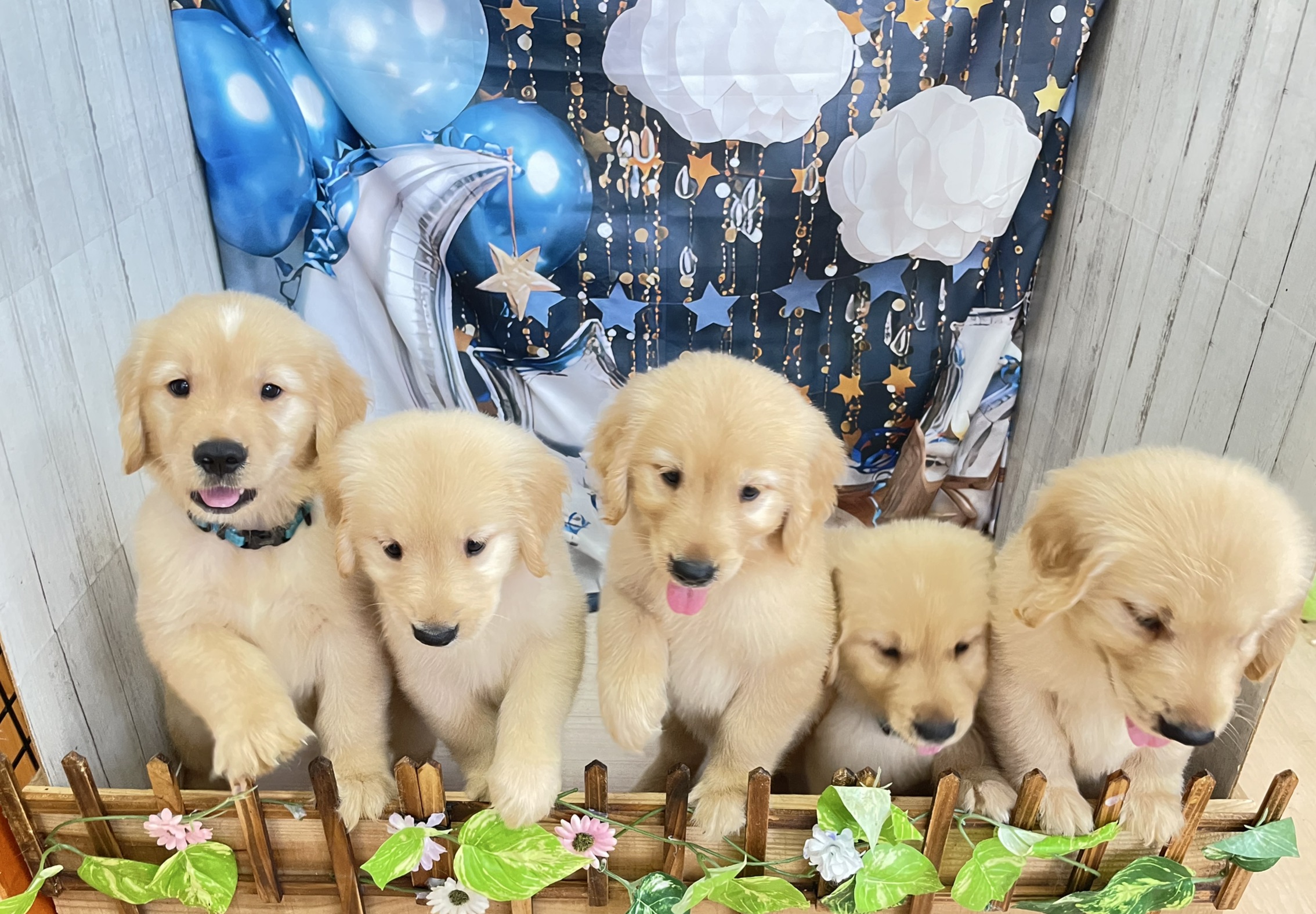 赤ちゃん写真3-3