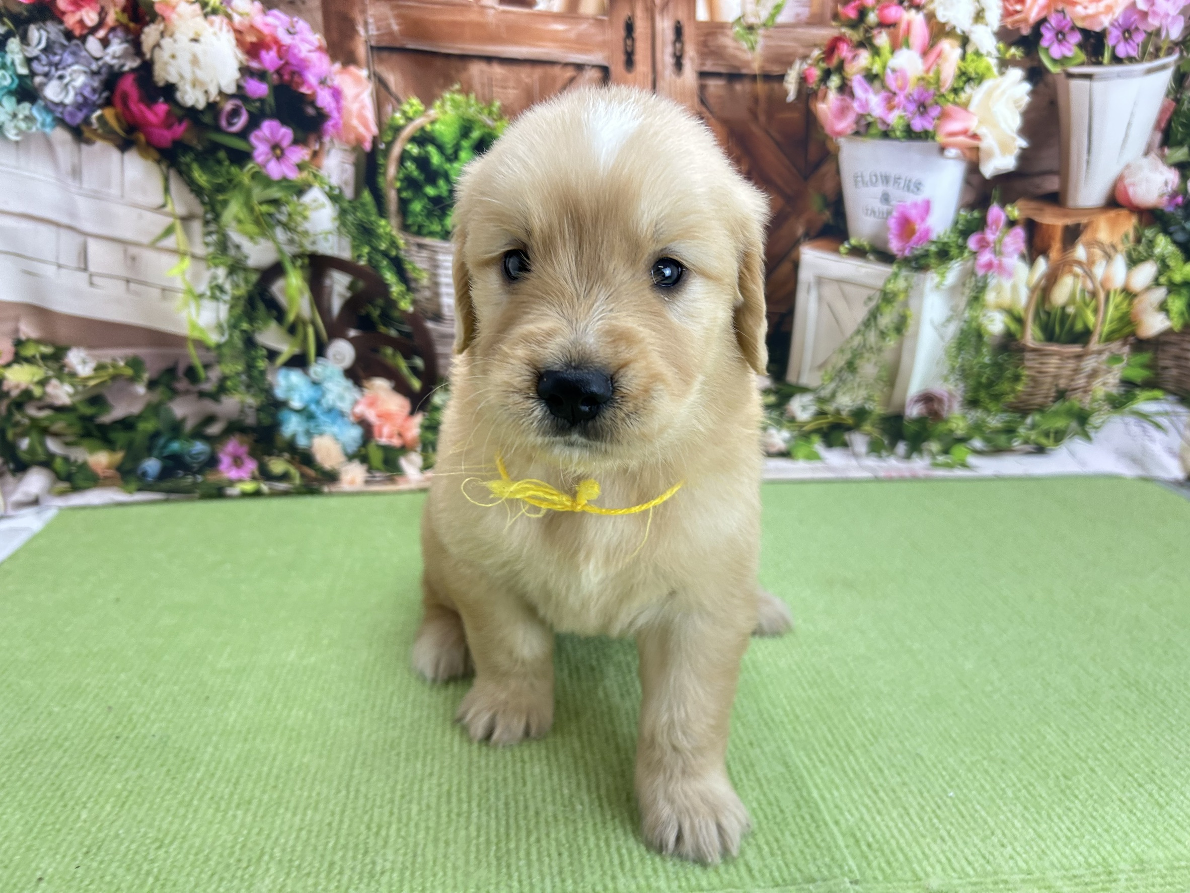 赤ちゃん写真2-1