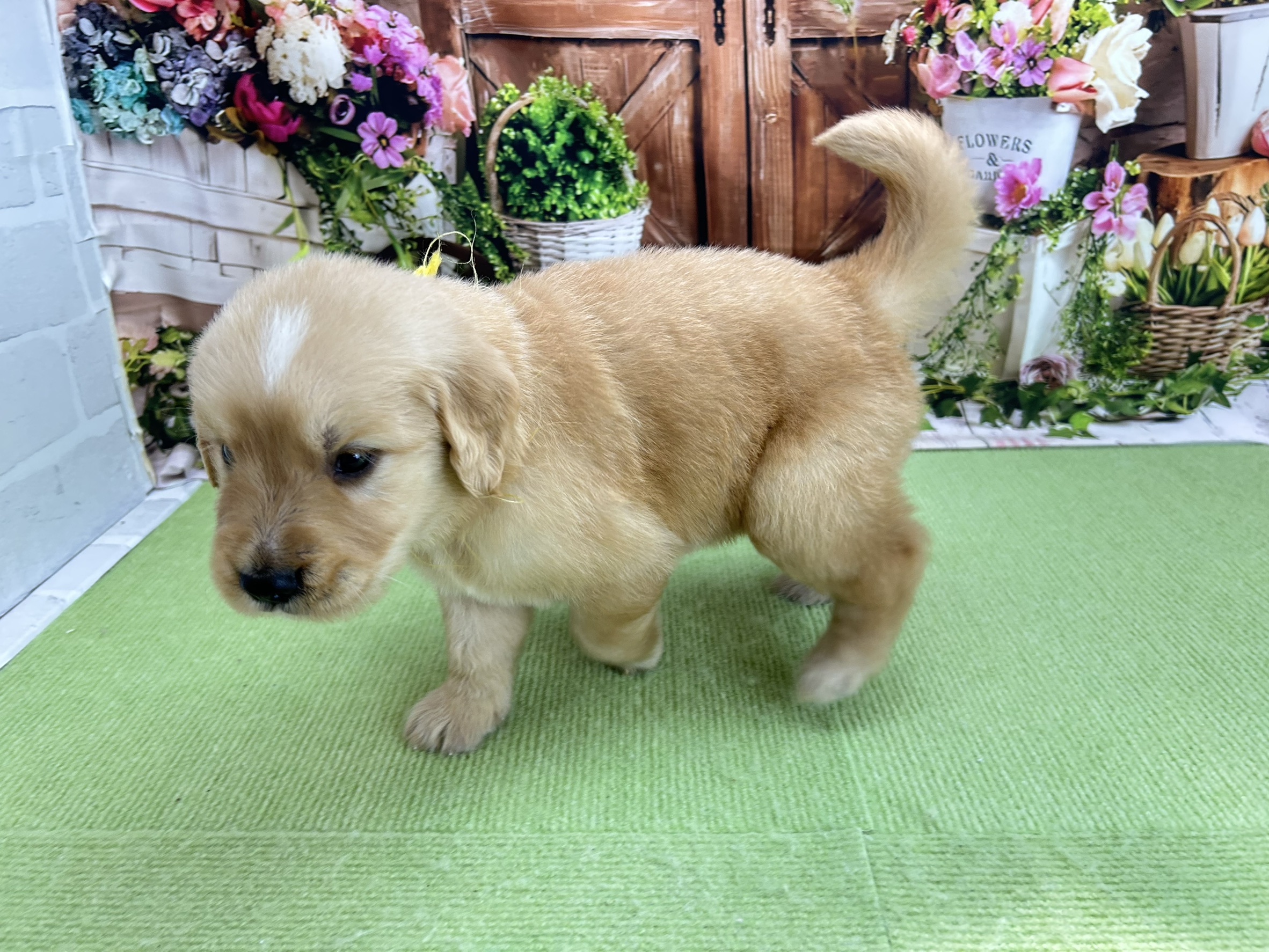 赤ちゃん写真2-2