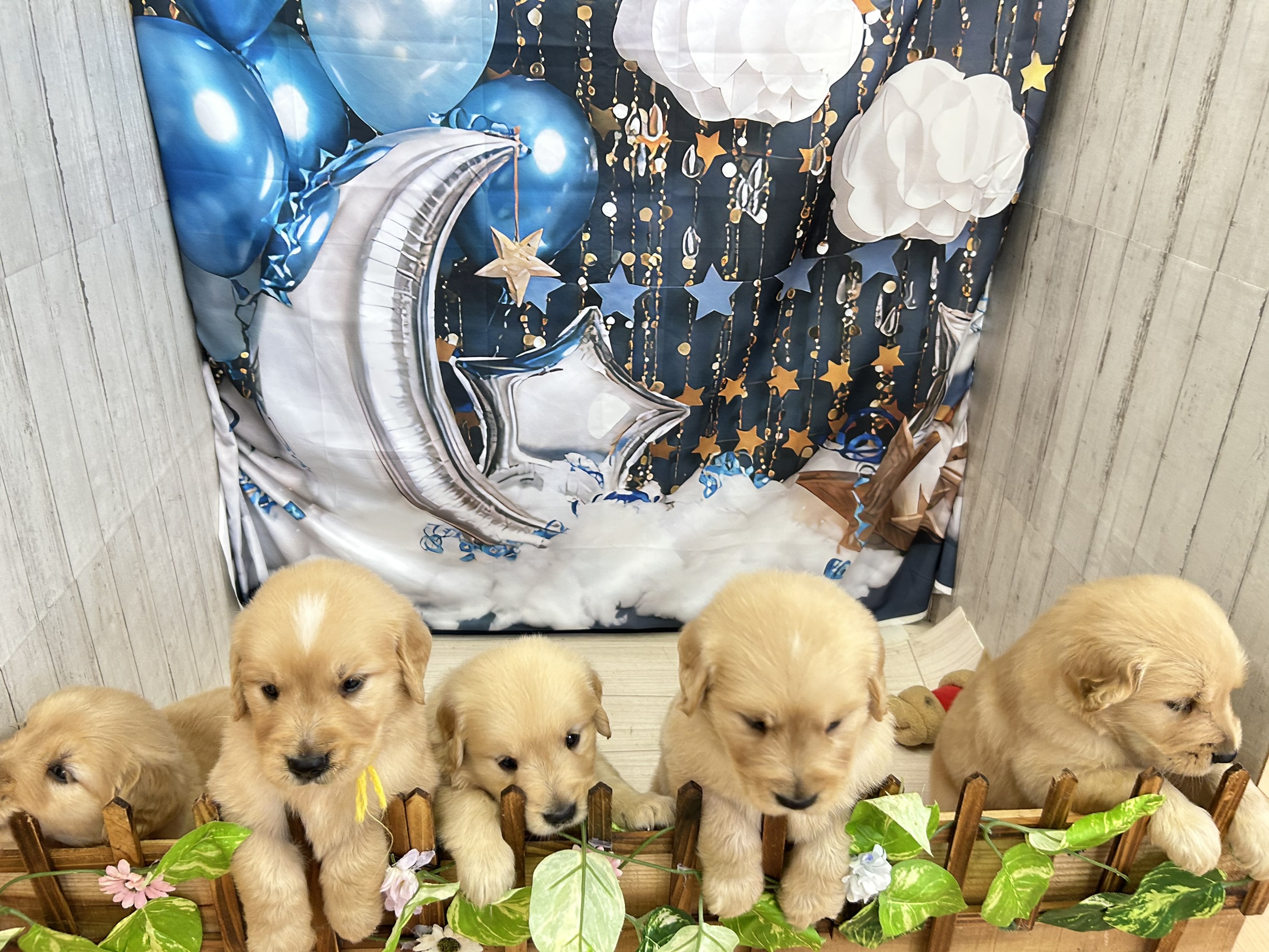 赤ちゃん写真2-3