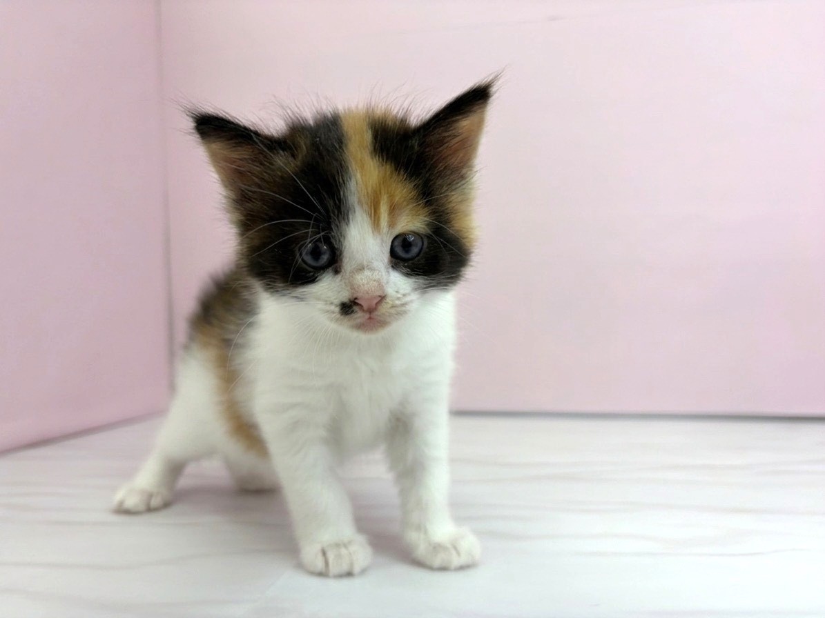 赤ちゃん写真2-1