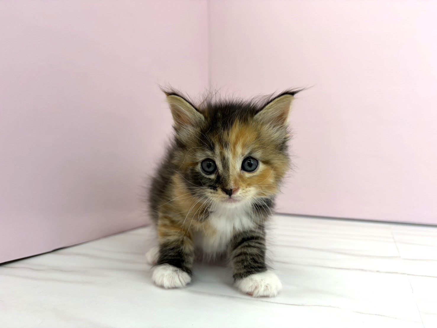 赤ちゃん写真2-1