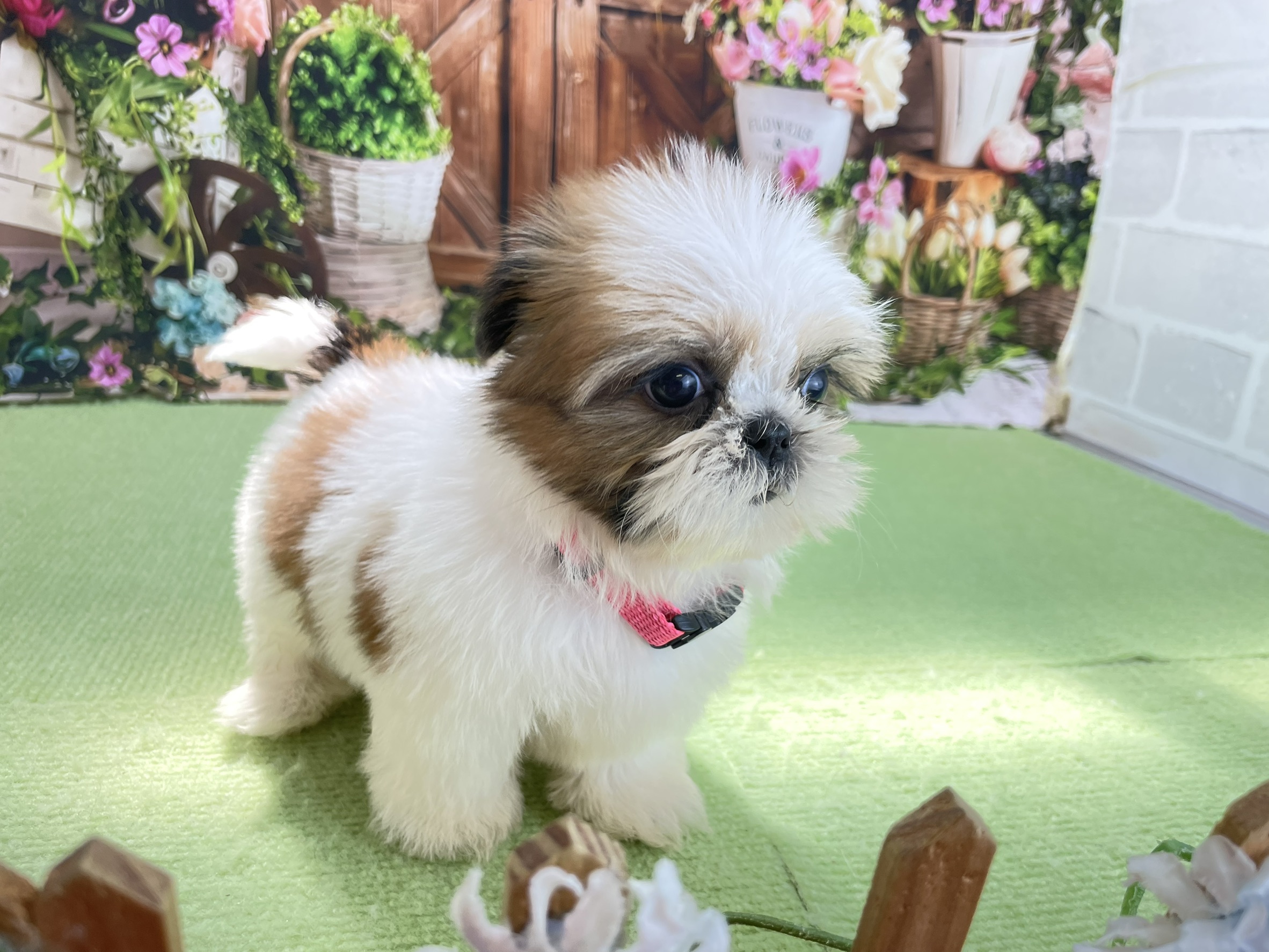 赤ちゃん写真3-2