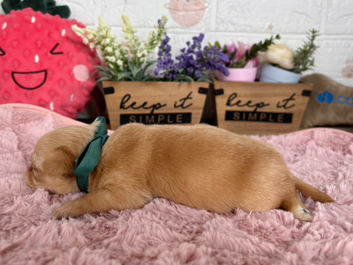 赤ちゃん写真2-2