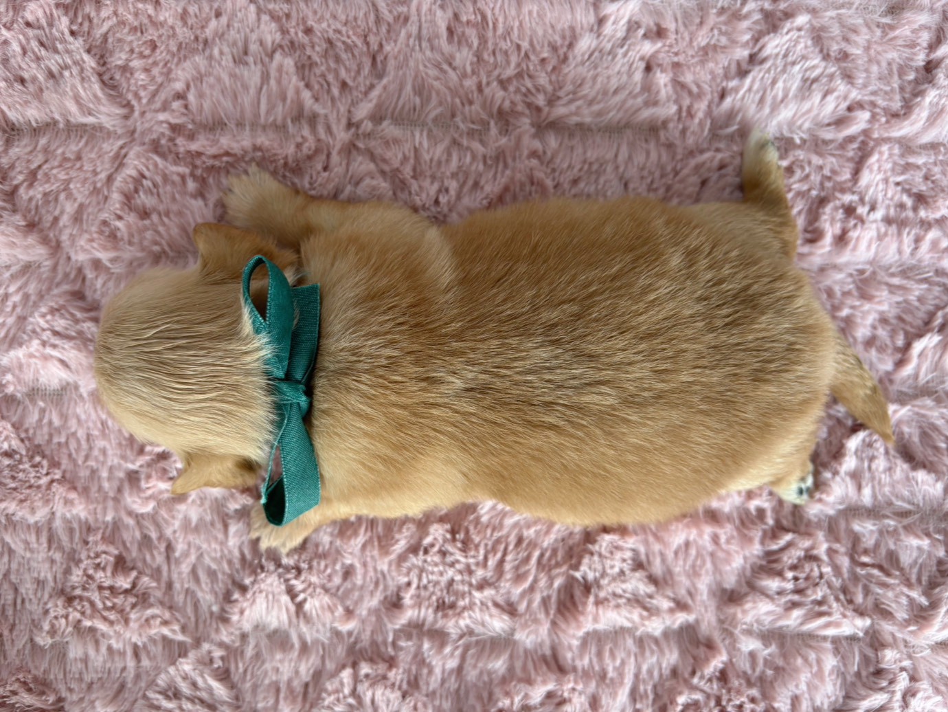 赤ちゃん写真2-3