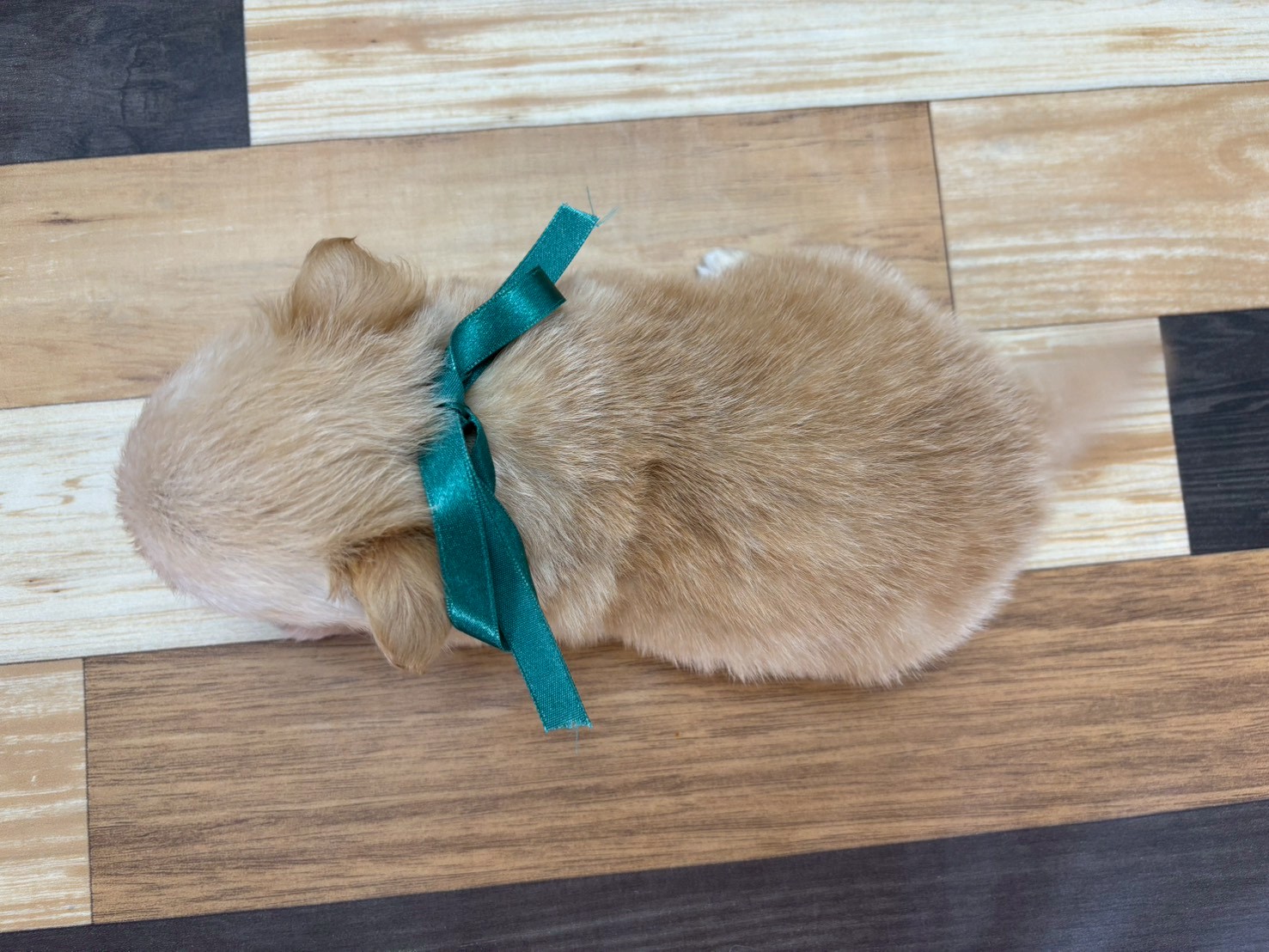 赤ちゃん写真3-3