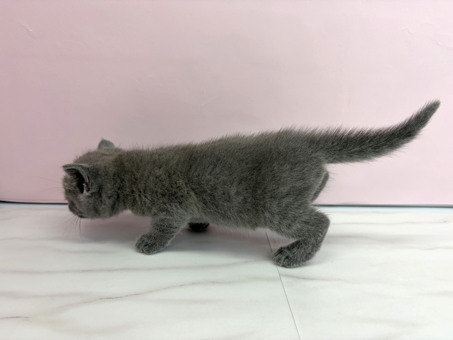 赤ちゃん写真2-2