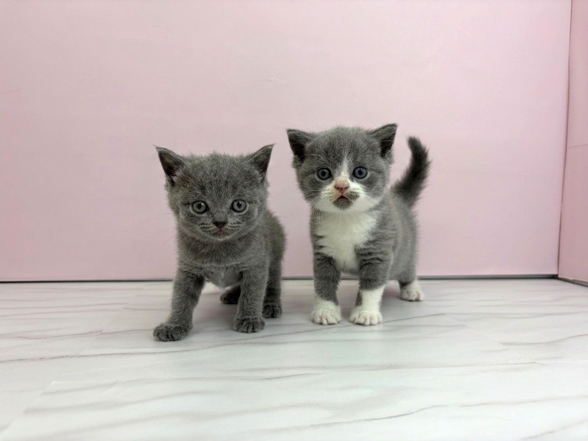 赤ちゃん写真2-3