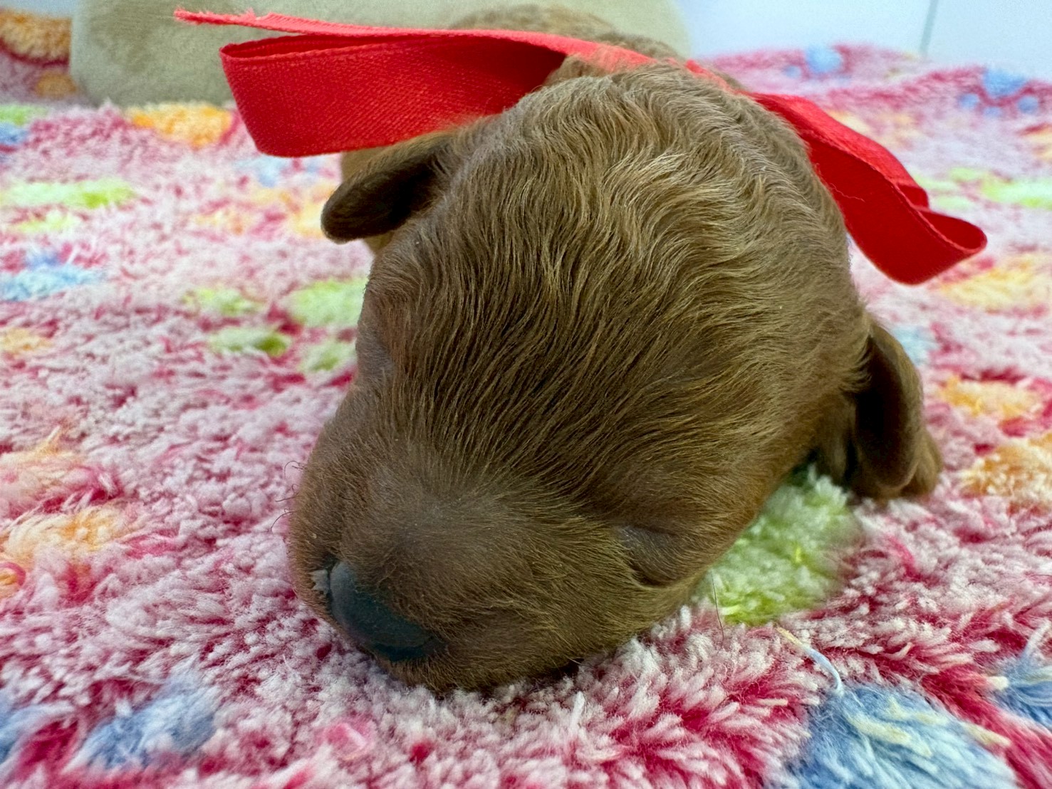 赤ちゃん写真1-1