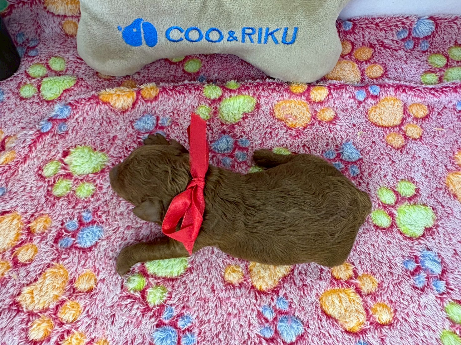 赤ちゃん写真1-3