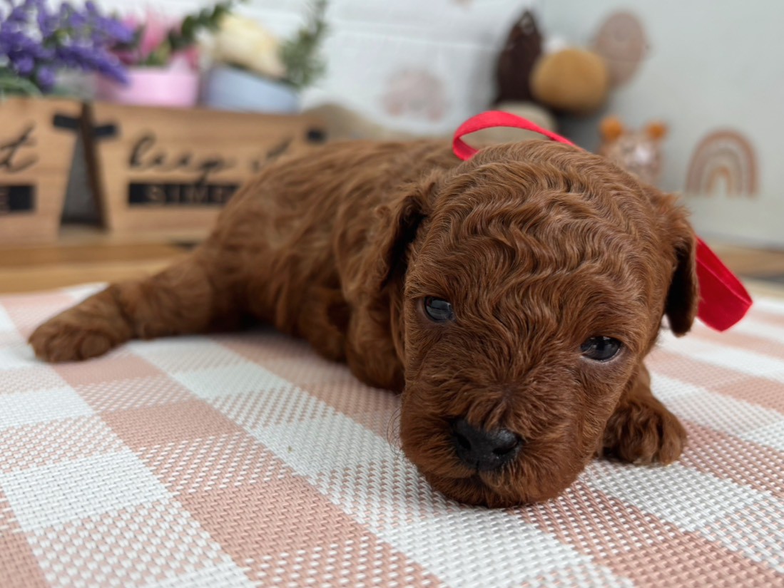 赤ちゃん写真2-1